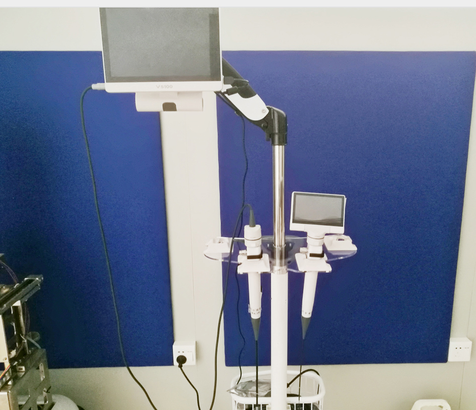 新宝GG—创立事业平台